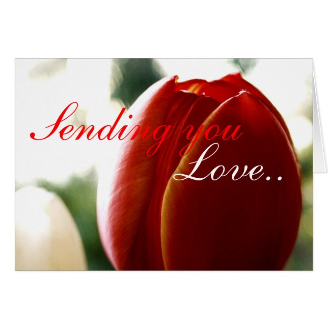 Love Red Tulip Card (Front Horizontal)