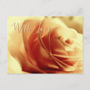 Love Rose Flower Customizable Postcard