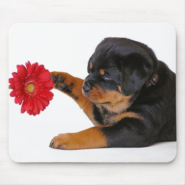 Love Rottweiler Puppy Dog with Red Gerbera Daisy Mouse Pad (Front)