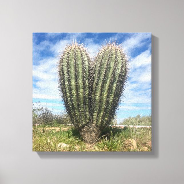love saguaro canvas print (Front)