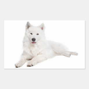 Love Samoyed Puppy Dog Sticker / Seal