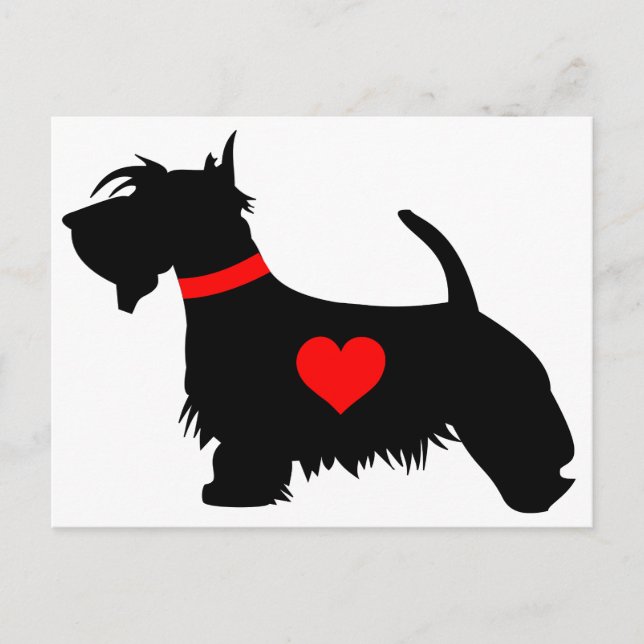 Love scottie chien carte postale (Devant)