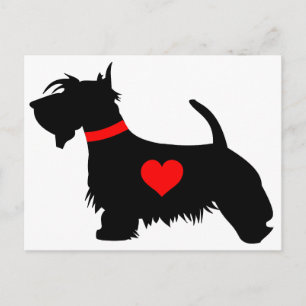 Love scottie dog postcard