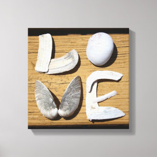 LOVE Sea Shell Canvas Print
