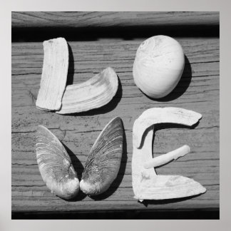LOVE Shell Black and White Poster