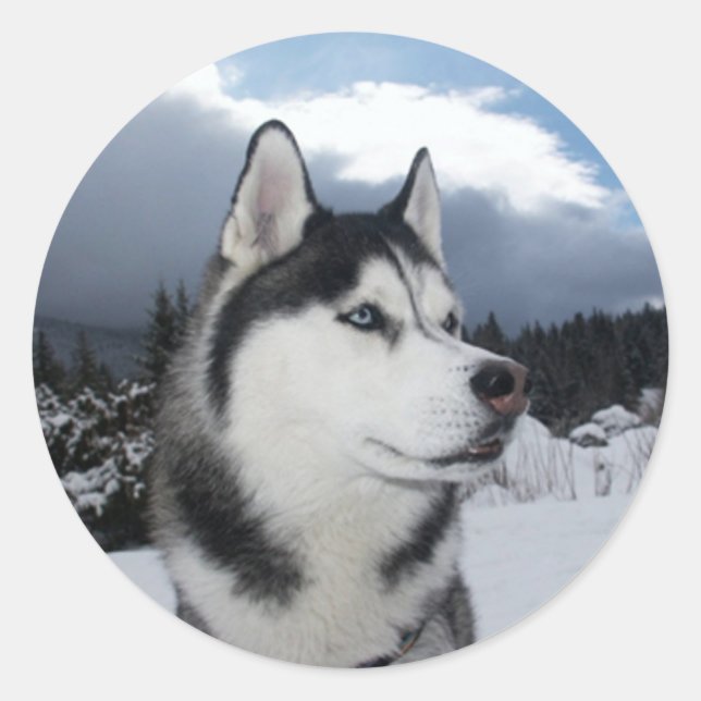 Love Siberian Husky Puppy Dog Greeting Stickers (Front)