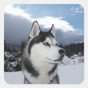 Love Siberian Husky Puppy Dog Greeting Stickers