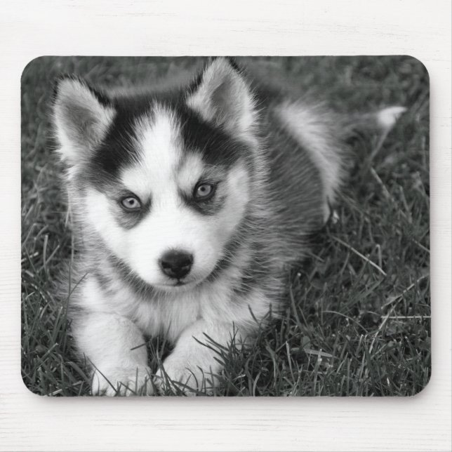 Love Siberian Husky Puppy Dog  Mousepad (Front)
