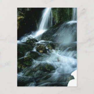 LOVE SONG POSTCARD