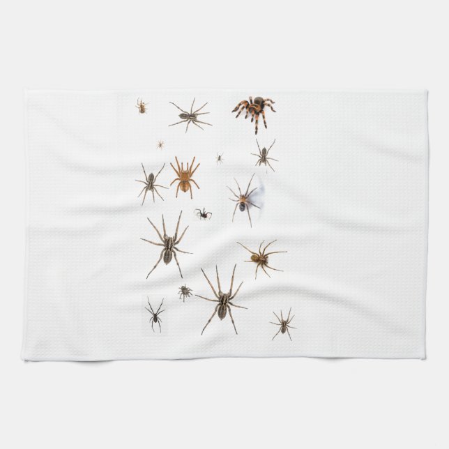 Love Spiders! Kitchen Towel (Horizontal)