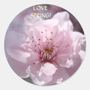Love Spring! Stickers Pink Tree Blossoms Stickers