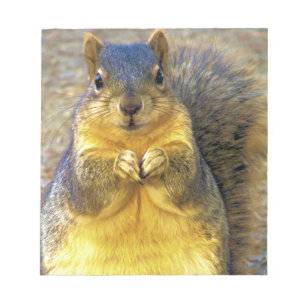 Love squirrel_ notepad