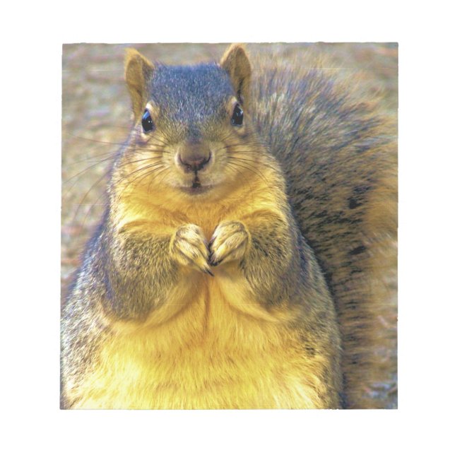 Love squirrel_ notepad (Front)