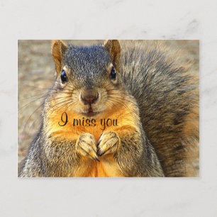 Love Squirrel_ Postcard