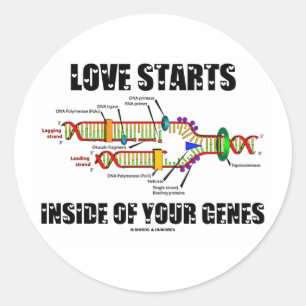 Love Starts Inside Of Your Genes (DNA Replication) Classic Round Sticker