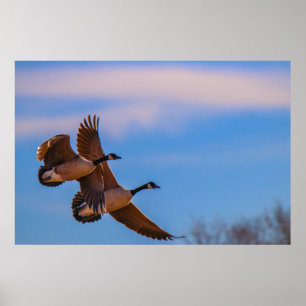 love stays together poster