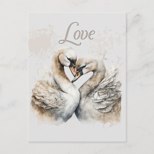 Love Swans Romantic Wedding  Postcard (Front)