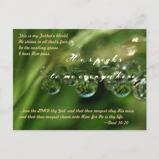 ...love the LORD thy God, and that thou mayest obe Postcard (Front)