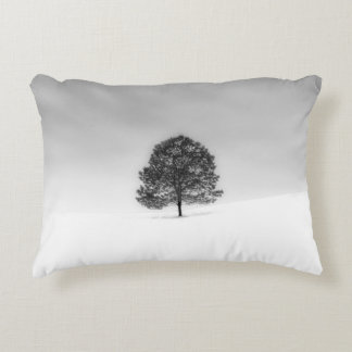 LOVE THE SIMPLICITY OF WINTER PHOTOGRAPHY THIS IS ACCENT PILLOW