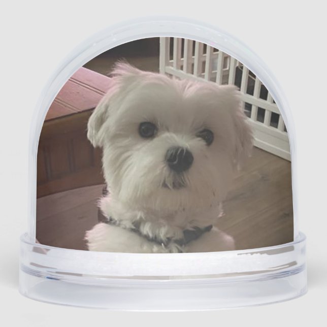 Love them both snowglobe (Front)