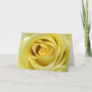 Love Theme with Yellow Rose Petals Up Close Card