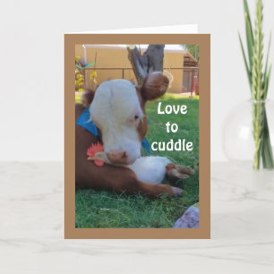 LOVE TO *CUDDLE* WITH *YOU* ANNIVERSARY LOVE CARD
