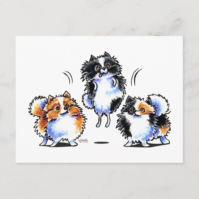 Love to Parti Pomeranians Postcard (Front)