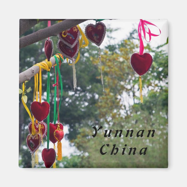 Love tree, Zhonghe - Yunnan, China Magnet (Front)