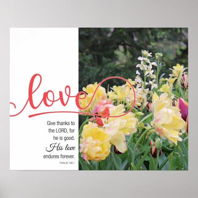 Love Tulip Photo Psaume 136:1 Poster (Devant)