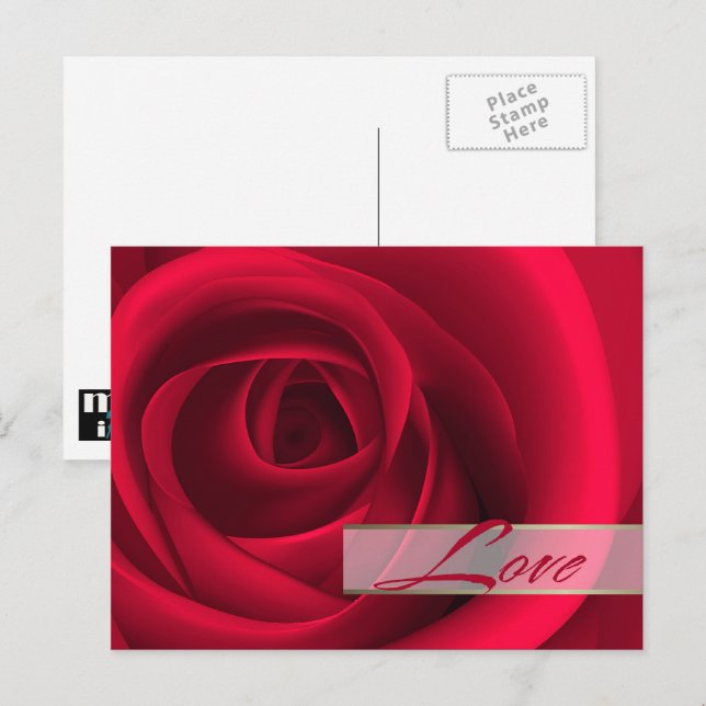Love. Valentine's Day Red Rose  Holiday Postcard (Front/Back)