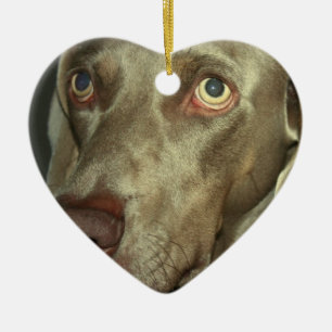 Love Weimaraner  Ornament