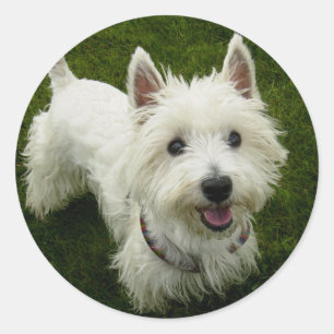 Love West Highland Terrier Puppy Dog Sticker Seal