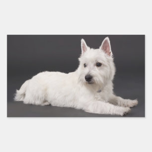 Love West Highland Terrier Puppy Dog Sticker Seal