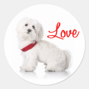 Love White Bichon Frise Puppy Dog Stickers