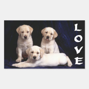 Love White Labrador Retriever Stickers Chien Chien