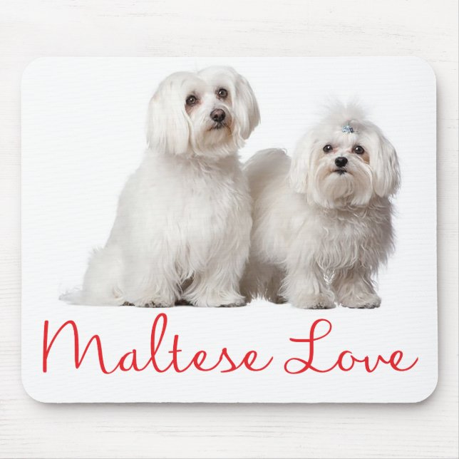 Love White Maltese Puppy Dog Mouse Pad (Front)