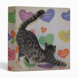 Love, Wyatt - Chat / Kitten 3 Classeur