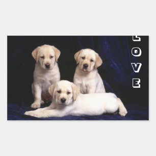 Love Yellow Labrador Retriever Puppy Dog Stickers