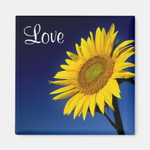 Love Yellow Sunflower  With Blue Sky Magnet