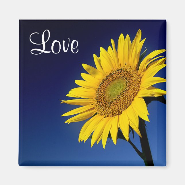 Love Yellow Sunflower  With Blue Sky Magnet (Front)