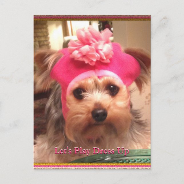 Love Yorkies en carte postale Casquette (Devant)