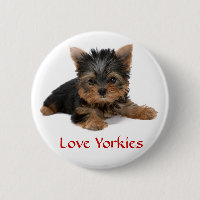 Love Yorkies Puppy Button Pin