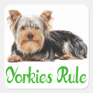 Love Yorkshire Terrier Puppy Dog Sticker / Seals