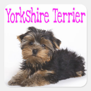 Love Yorkshire Terrier Puppy Dog Sticker / Seals