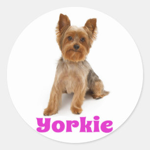 Love Yorkshire Terrier Puppy Dog Sticker / Seals