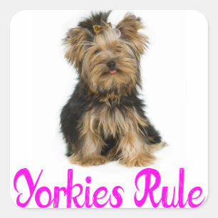 Love Yorkshire Terrier Puppy Dog Sticker / Seals