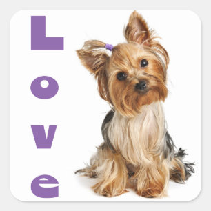 Love Yorkshire Terrier Puppy Dog Sticker / Seals