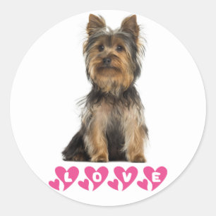 Love Yorkshire Terrier Puppy Dog Sticker / Seals