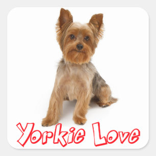 Love Yorkshire Terrier Puppy Dog Sticker / Seals