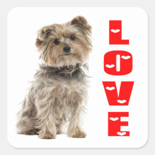 Love Yorkshire Terrier Yorkie Puppy Dog Mom Dad Square Sticker